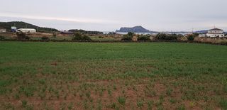 제주시 우도면 연평리 매물 대표 이미지