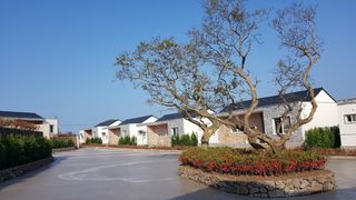 제주시 애월읍 봉성리 매물 대표 이미지