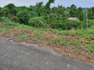 서귀포시 안덕면 덕수리 매물 대표 이미지