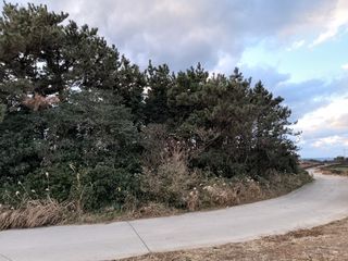 제주시 우도면 연평리 매물 대표 이미지