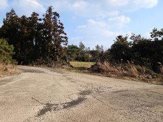 서귀포시 성산읍 난산리 매물 대표 이미지