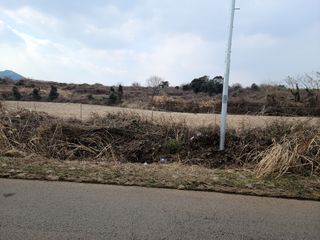 서귀포시 표선면 성읍리 매물 대표 이미지