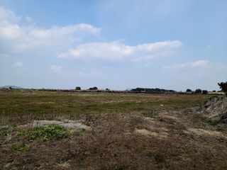 서귀포시 성산읍 난산리 매물 대표 이미지