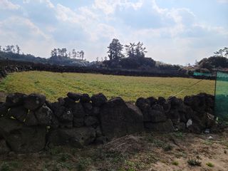 제주시 구좌읍 상도리 매물 대표 이미지