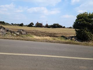 서귀포시 성산읍 신산리 매물 대표 이미지