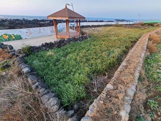 제주시 애월읍 하귀1리 매물 대표 이미지