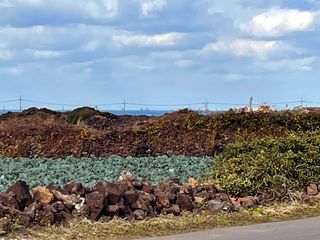 제주시 한림읍 귀덕리 매물 대표 이미지