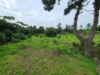 제주시 한림읍 협재리 매물 대표 이미지