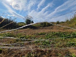 제주시 해안동 매물 대표 이미지