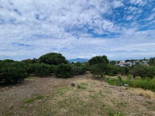 서귀포시 남원읍 위미리 매물 대표 이미지