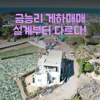 제주시 한림읍 금능리 매물 대표 이미지
