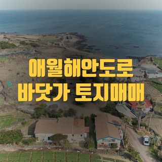 제주시 애월읍 애월리 매물 대표 이미지