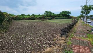 제주시 한림읍 상대리 매물 대표 이미지