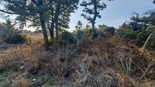 서귀포시 안덕면 덕수리 매물 대표 이미지