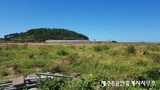 서귀포시 대정읍 신도리 매물 대표 이미지