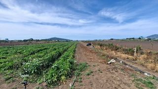 서귀포시 대정읍 상모리 매물 대표 이미지