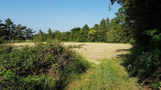 서귀포시 대포동 매물 대표 이미지