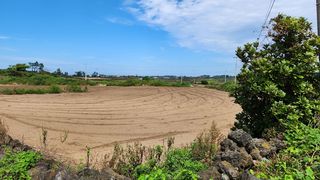 제주시 구좌읍 상도리 매물 대표 이미지