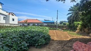 서귀포시 대정읍 상모리 매물 대표 이미지