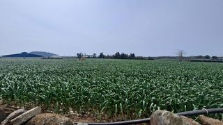 서귀포시 대정읍 동일리 매물 대표 이미지