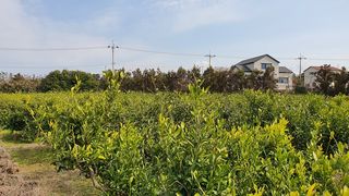 제주시 한림읍 상대리 매물 대표 이미지