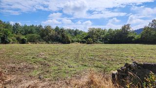 제주시 구좌읍 덕천리 매물 대표 이미지