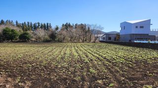 제주시 조천읍 선흘리 매물 대표 이미지