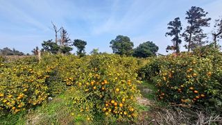 서귀포시 안덕면 덕수리 매물 대표 이미지