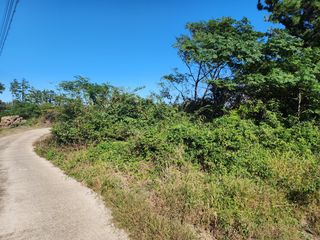 제주시 한경면 금등리 매물 대표 이미지