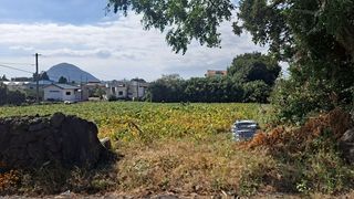 서귀포시 안덕면 감산리 매물 대표 이미지