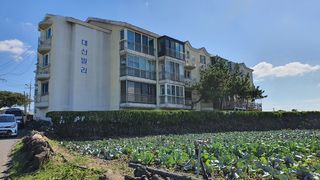 제주특별자치도 제주시 한림읍 수원리 678-2 대산빌라 1-307 매물 대표 이미지