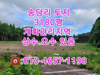 제주시 구좌읍 송당리 매물 대표 이미지