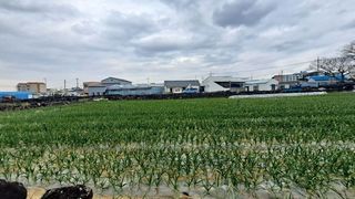 서귀포시 대정읍 동일리 매물 대표 이미지