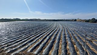 서귀포시 대정읍 신도리 매물 대표 이미지