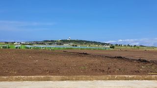 서귀포시 대정읍 신도리 매물 대표 이미지