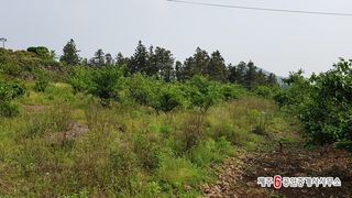 서귀포시 안덕면 감산리 매물 대표 이미지