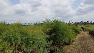 서귀포시 대정읍 영락리 매물 대표 이미지