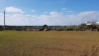 서귀포시 대정읍 동일리 매물 대표 이미지