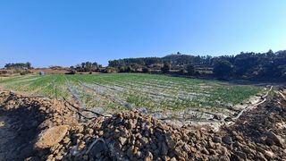 서귀포시 대정읍 하모리 매물 대표 이미지