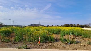 서귀포시 대정읍 신평리 매물 대표 이미지