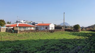 서귀포시 대정읍 상모리 매물 대표 이미지