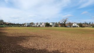 제주시 한경면 조수리 매물 대표 이미지