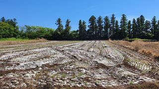 제주시 구좌읍 세화리 매물 대표 이미지