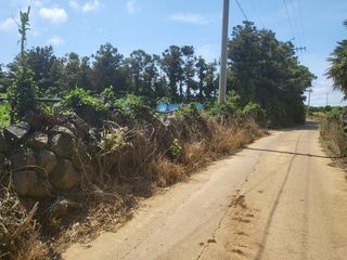 제주시 한경면 조수리 매물 대표 이미지