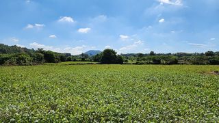 제주시 구좌읍 송당리 매물 대표 이미지