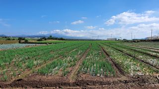 서귀포시 대정읍 신도리 매물 대표 이미지