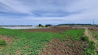 서귀포시 대정읍 상모리 매물 대표 이미지