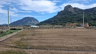 서귀포시 대정읍 인성리 매물 대표 이미지