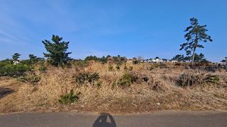 서귀포시 안덕면 덕수리 매물 대표 이미지