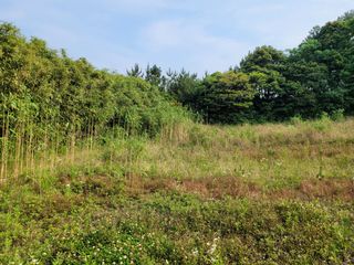 제주시 구좌읍 송당리 매물 대표 이미지